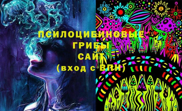 экстази Арсеньев