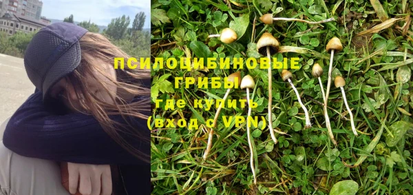дмт Армянск