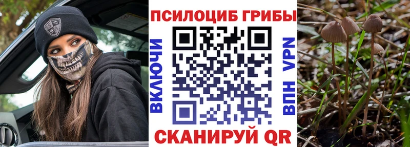 купить  сайты  Краснослободск  Галлюциногенные грибы ЛСД 